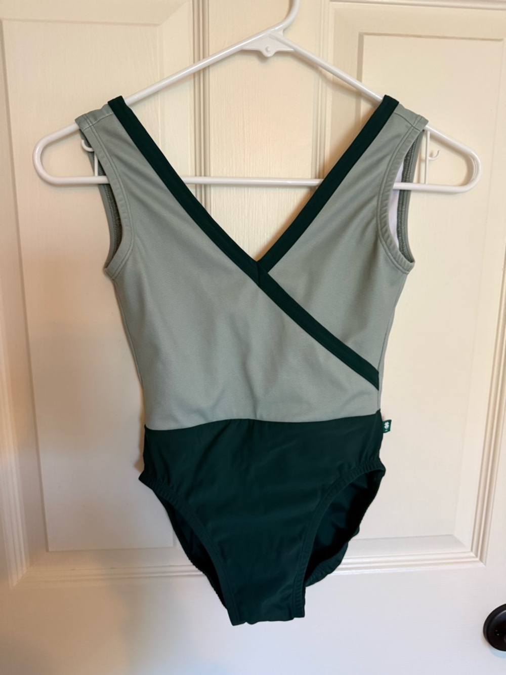 Luckyleo custom Enchant leotard size XS